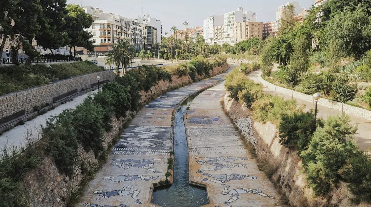 Administradores de Fincas en Elche: Precios y Guía 2026