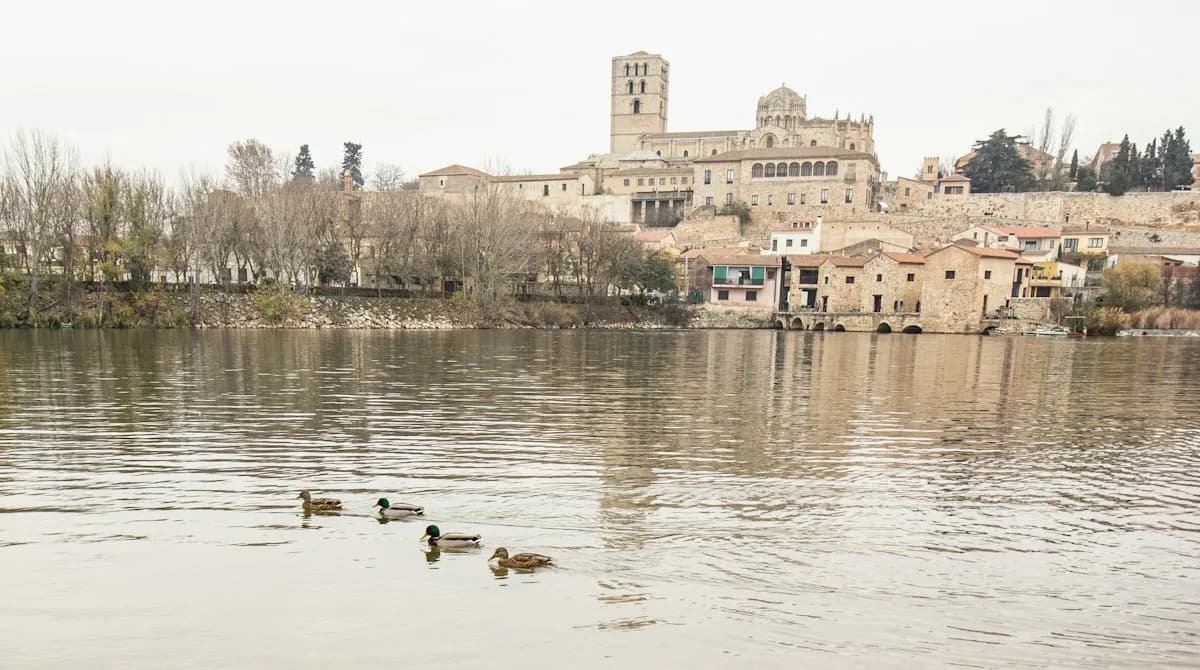 Administradores de Fincas en Zamora: Precios y Guía 2026
